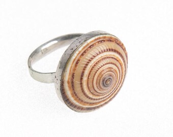 Nautilus Shell Ring: Sterling Silver Adjustable Seashell Ring, Beach Jewelry