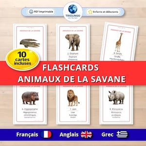 Könnte beinhalten: Lernkarten mit Savannentieren, darunter ein Elefant, eine Giraffe und ein Löwe. Die Karten sind auf Französisch, Englisch und Griechisch beschriftet, mit dem Text "ANIMAUX DE LA SAVANE" und "FLASHCARDS". Das Set enthält 10 Karten.