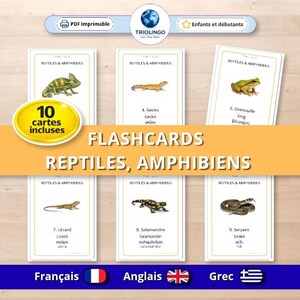 Puede incluir: Tarjetas didácticas con reptiles y anfibios. Las tarjetas incluyen ilustraciones de un camaleón, gecko, rana, lagarto, salamandra y serpiente. El texto está en francés, inglés y griego. El juego incluye 10 tarjetas.
