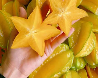 Muda de carambola (fruta tropical jovem)
