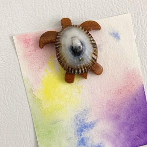 Koa and Opihi Shell Turtle Magnet