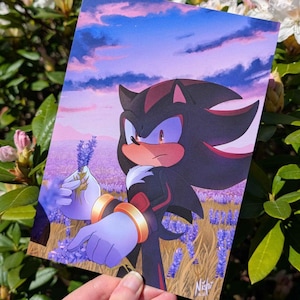 Könnte beinhalten: Ein Druck mit einem schwarzen Igel-Charakter mit roten Akzenten und goldenen Armbändern, der Lavendel in einem Feld lila Blumen hält. Der Hintergrund zeigt einen Sonnenuntergang mit rosa und blauen Farbtönen. Die Signatur des Künstlers befindet sich unten rechts.