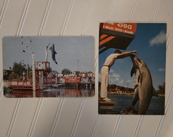 2 Vintage Giant Postcards: Theatre of the Sea -- Islamorada, Florida 1956, Excellent Condition