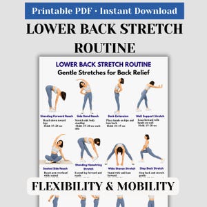 Peut inclure: Un PDF imprimable présentant une routine d'étirements pour le bas du dos. L'image affiche des illustrations de divers étirements, notamment la flexion avant debout, l'étirement latéral et l'extension du dos. Le texte met l'accent sur des étirements doux pour le soulagement du dos.