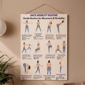 Pode incluir: Um cartaz intitulado "BACK MOBILITY ROUTINE" com ilustra&ccedil;&otilde;es de exerc&iacute;cios para movimento e flexibilidade. Os exerc&iacute;cios incluem c&iacute;rculos de bra&ccedil;os, rota&ccedil;&atilde;o do tronco, fluxo de alcance lateral, movimento da articula&ccedil;&atilde;o da anca, alcance para tr&aacute;s, alcance sentado, eleva&ccedil;&atilde;o do joelho, fluxo lateral, onda espinhal, balan&ccedil;o dos bra&ccedil;os, compress&atilde;o das omoplatas e extens&atilde;o tor&aacute;cica.