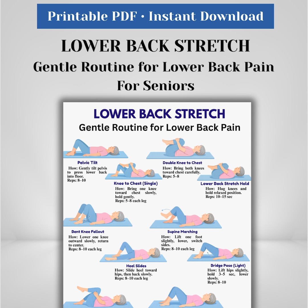 Lower Back Stretches for Seniors | Gentle Pain Relief Routine ...