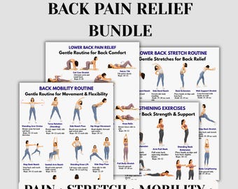 Pacchetto stampabile per il sollievo dal mal di schiena, esercizi di stretching, mobilità e rafforzamento della schiena, routine di terapia per la schiena, 4 in 1 PDF