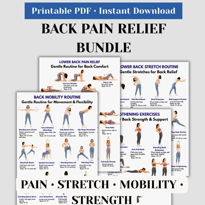 Lower Back Pain Relief Bundle Printable, Back Stretch Mobility and ...