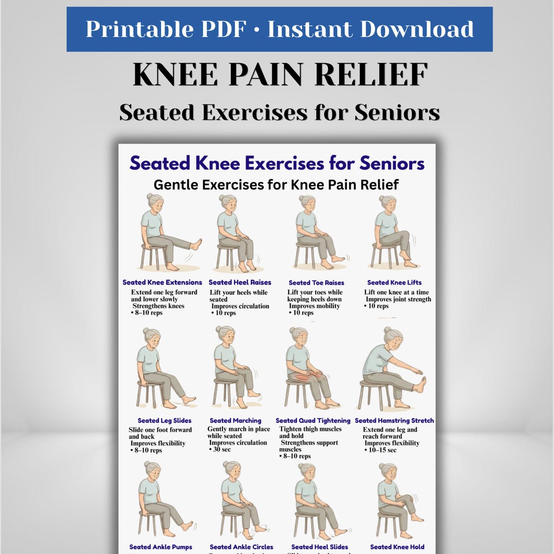 Knee Pain Relief Exercises | Seated Knee Workout for Seniors ...
