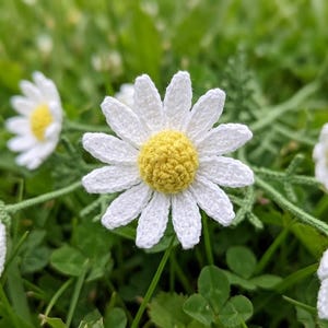 May include: Close-up of several crocheted daisy flowers with white petals and yellow centers. The daisies are arranged on a green stem, set against a backdrop of green grass and foliage. The handmade flowers are a charming, nature-inspired craft.