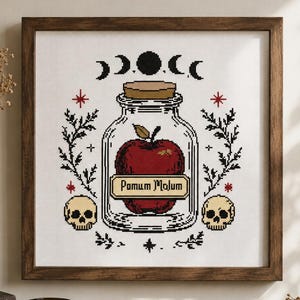 Apple Apothecary Cross Stitch Pattern PDF, Gothic Witchy Embroidery Chart, Dark Academia, Halloween Decor Download PK, Poison Moon Phase,DIY