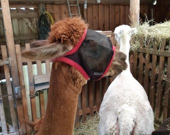 Alpaca fly mask