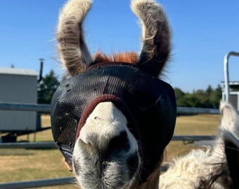 Masque anti-mouches Lama