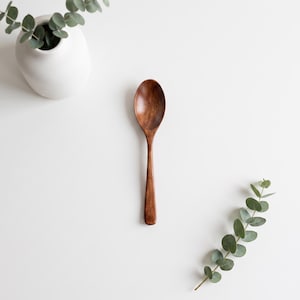 May include: A smooth, dark brown wooden spoon with a rounded bowl and a slender handle. The spoon is positioned vertically between a white ceramic vase containing green eucalyptus sprigs and a separate stem of eucalyptus leaves.