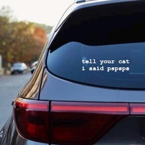 Puede incluir: Un coche gris con una pegatina en la luneta trasera que dice "tell your cat I said pspsps". El piloto trasero rojo del coche es visible, con una escena de calle borrosa en el fondo.