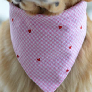 May include: A pink and white gingham dog bandana with red embroidered hearts.