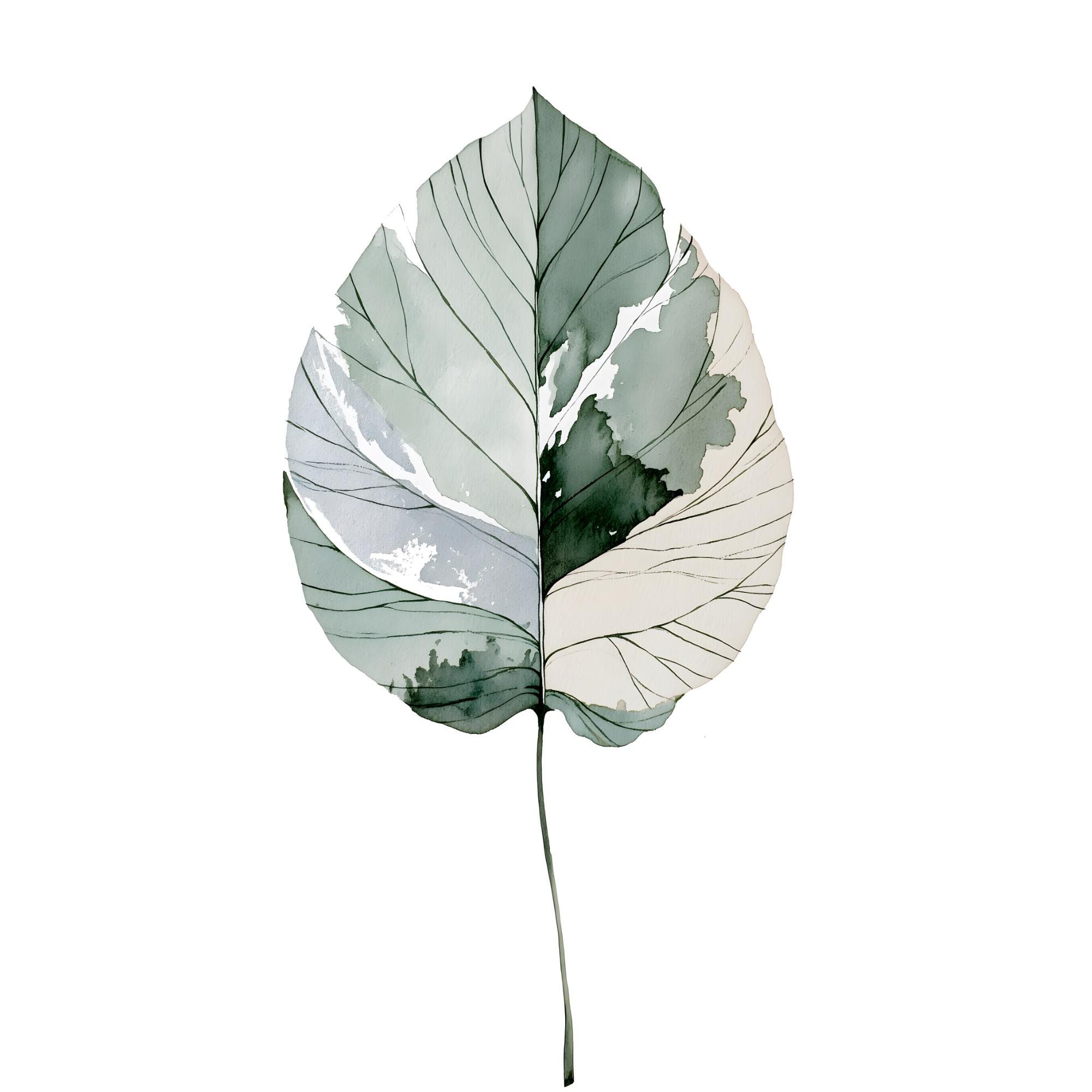 Calathea Leaf Watercolor Print | Sage Green Botanical Wall Art | Boho Houseplant Decor Printable