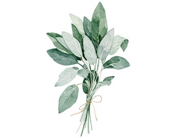 Sage Bundle Watercolor Print | Botanical Kitchen Wall Art (Instant Download)