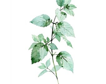 Mint Sprig Watercolor Print | Botanical Kitchen Wall Art | Green Herb Printable Instant Download