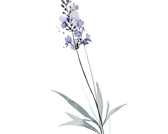 Lavender Watercolor Print | Botanical Wall Art Printable | Minimalist French Country Decor | Instant Download