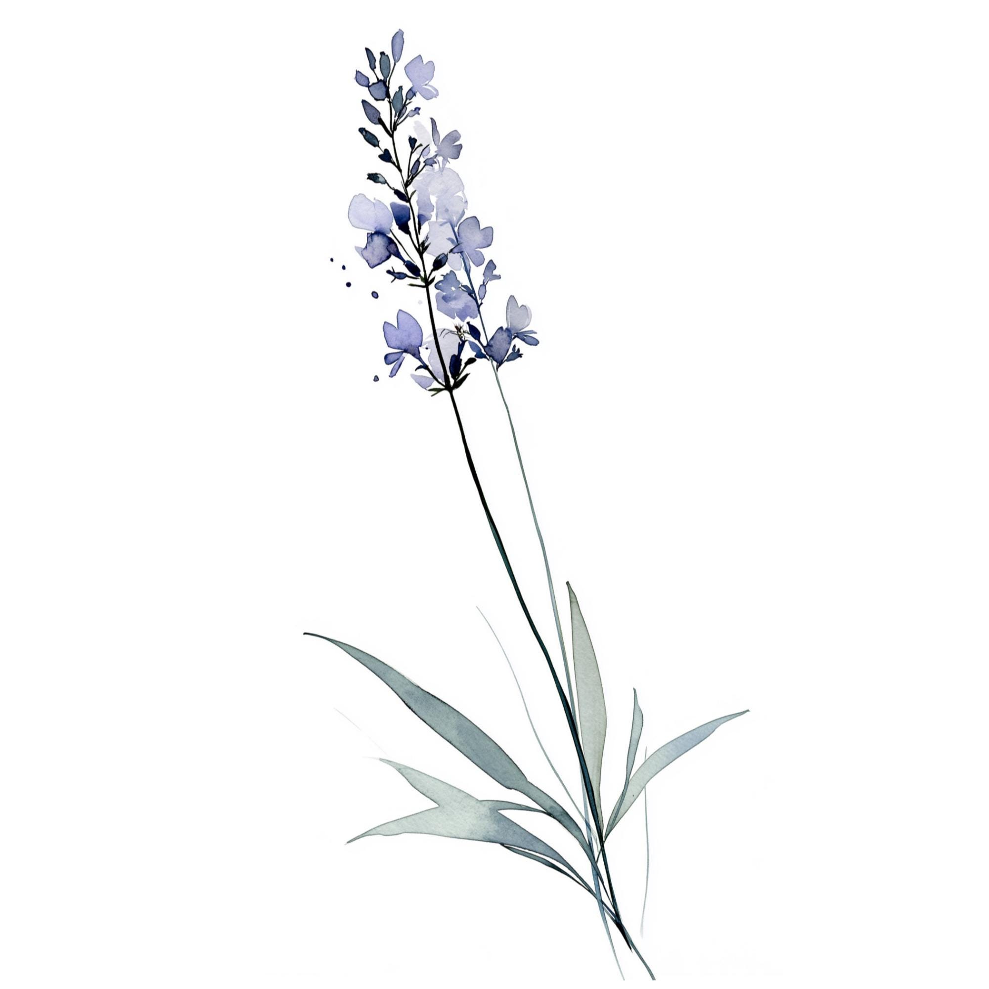 Lavender Watercolor Print | Botanical Wall Art Printable | Minimalist French Country Decor | Instant Download