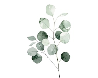 Eucalyptus Watercolor Print | Sage Green Botanical Wall Art (Digital Download)
