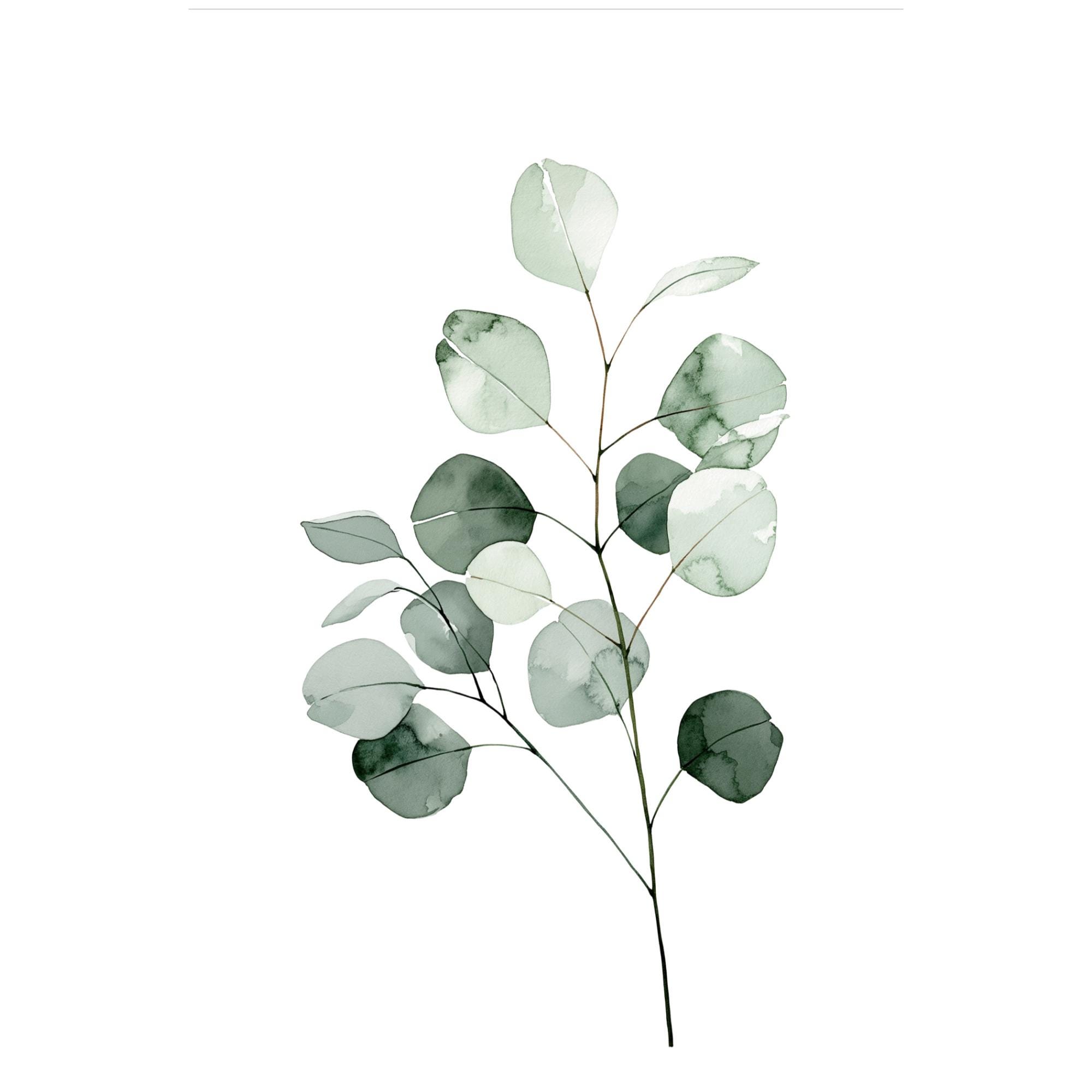 Eucalyptus Watercolor Print | Sage Green Botanical Wall Art (Digital Download)