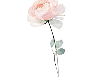Blush Ranunculus Watercolor Print | Pink Floral Nursery Wall Art | Minimalist Botanical Decor | Instant Download