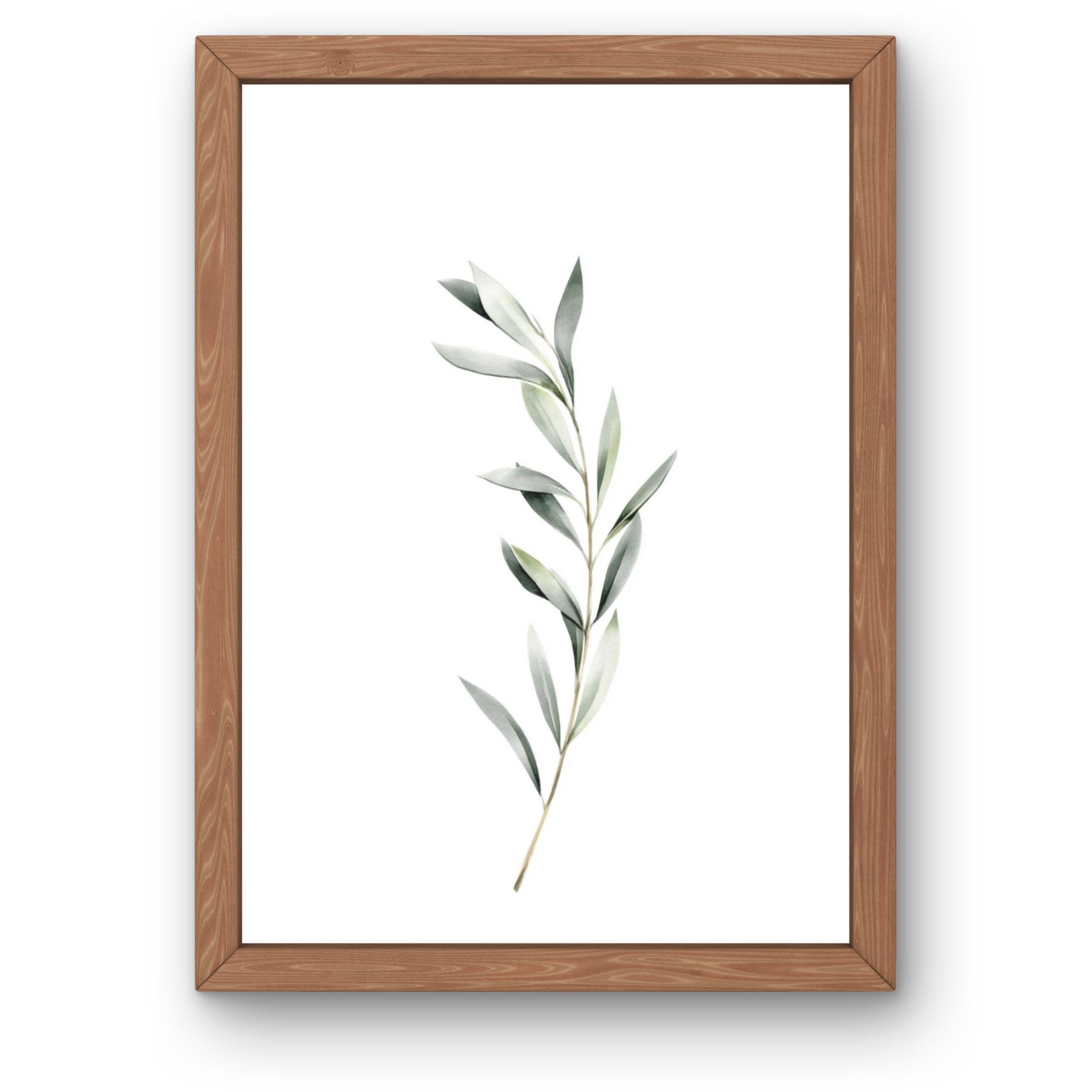 Olive Branch Watercolor Print