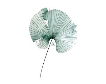 Fan Palm Leaf Print | Sage Green Watercolor Botanical Art (Digital Download)