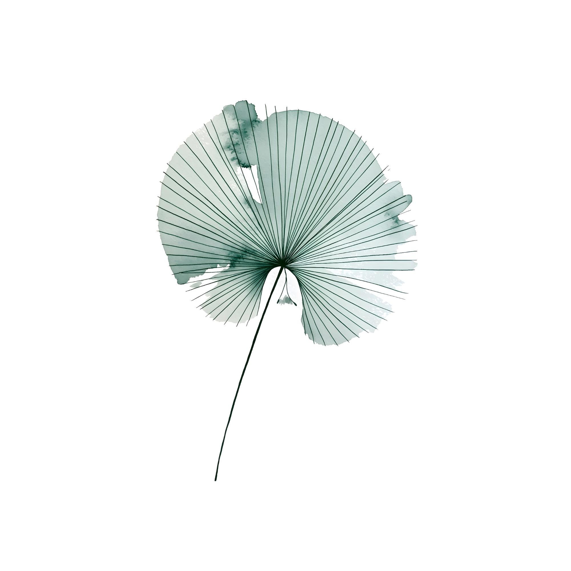 Fan Palm Leaf Print | Sage Green Watercolor Botanical Art (Digital Download)