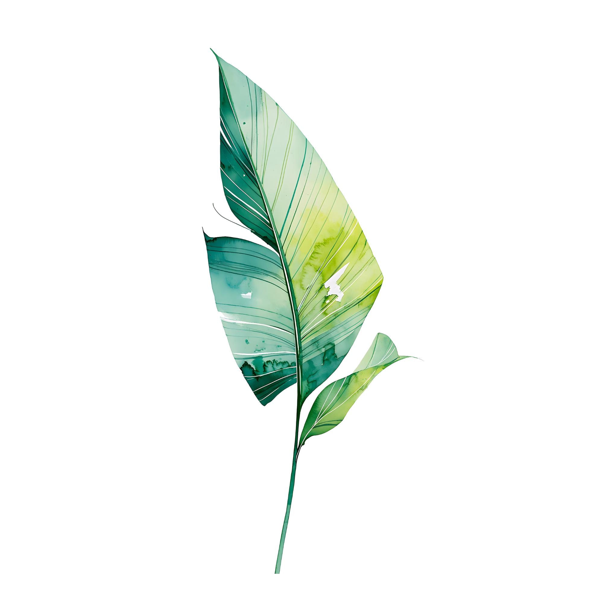 Bird of Paradise Leaf Print | Tropical Watercolor Wall Art (Digital Download)