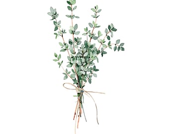 Thyme Watercolor Print | Botanical Kitchen Wall Art | Herb Bundle Painting | Minimalist Printable Decor