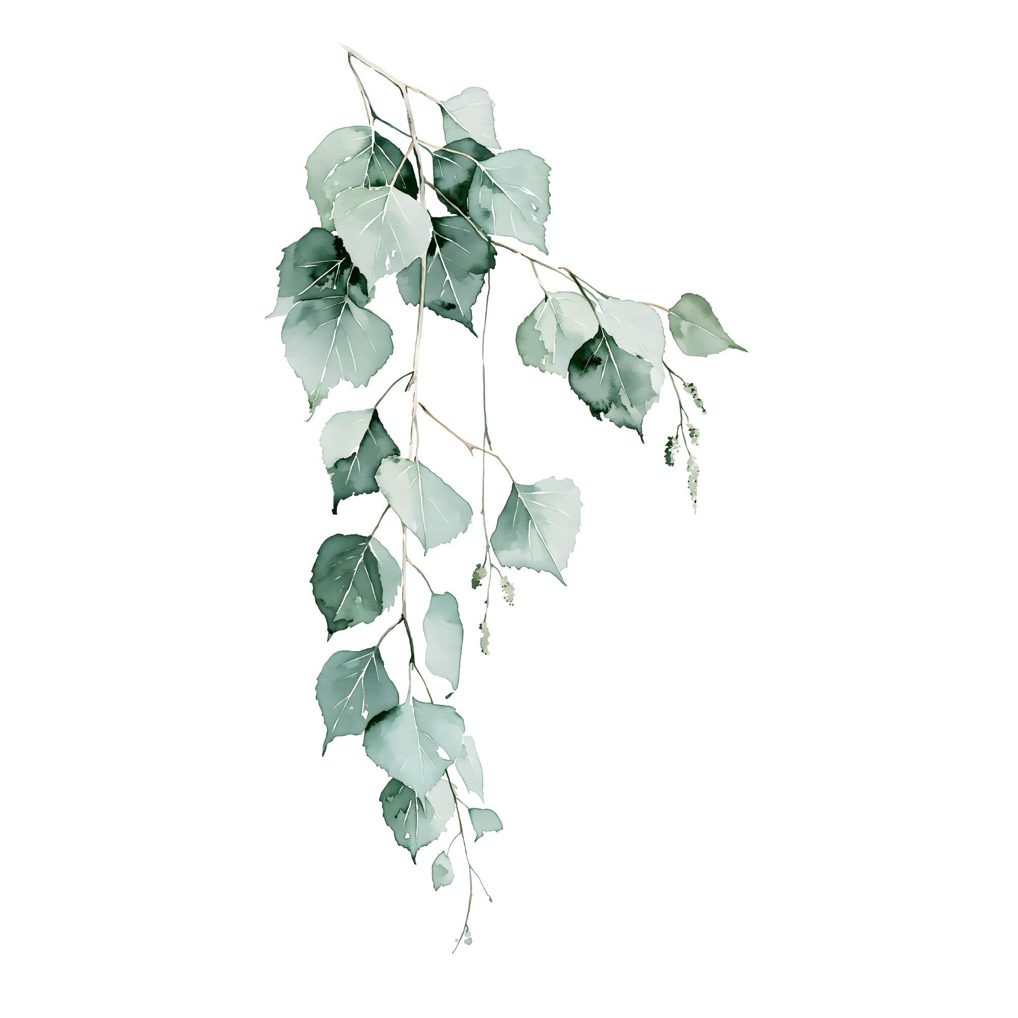 Birch Branch Watercolor Print | Sage Green Botanical Wall Art | Scandinavian Nordic Decor Instant Download