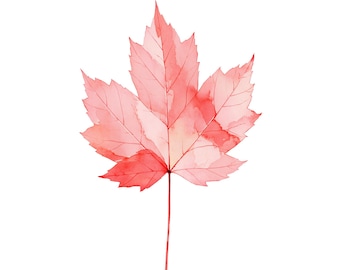 Maple Leaf Watercolor Print | Sugar Maple Wall Art | Crimson Botanical Decor | Instant Download