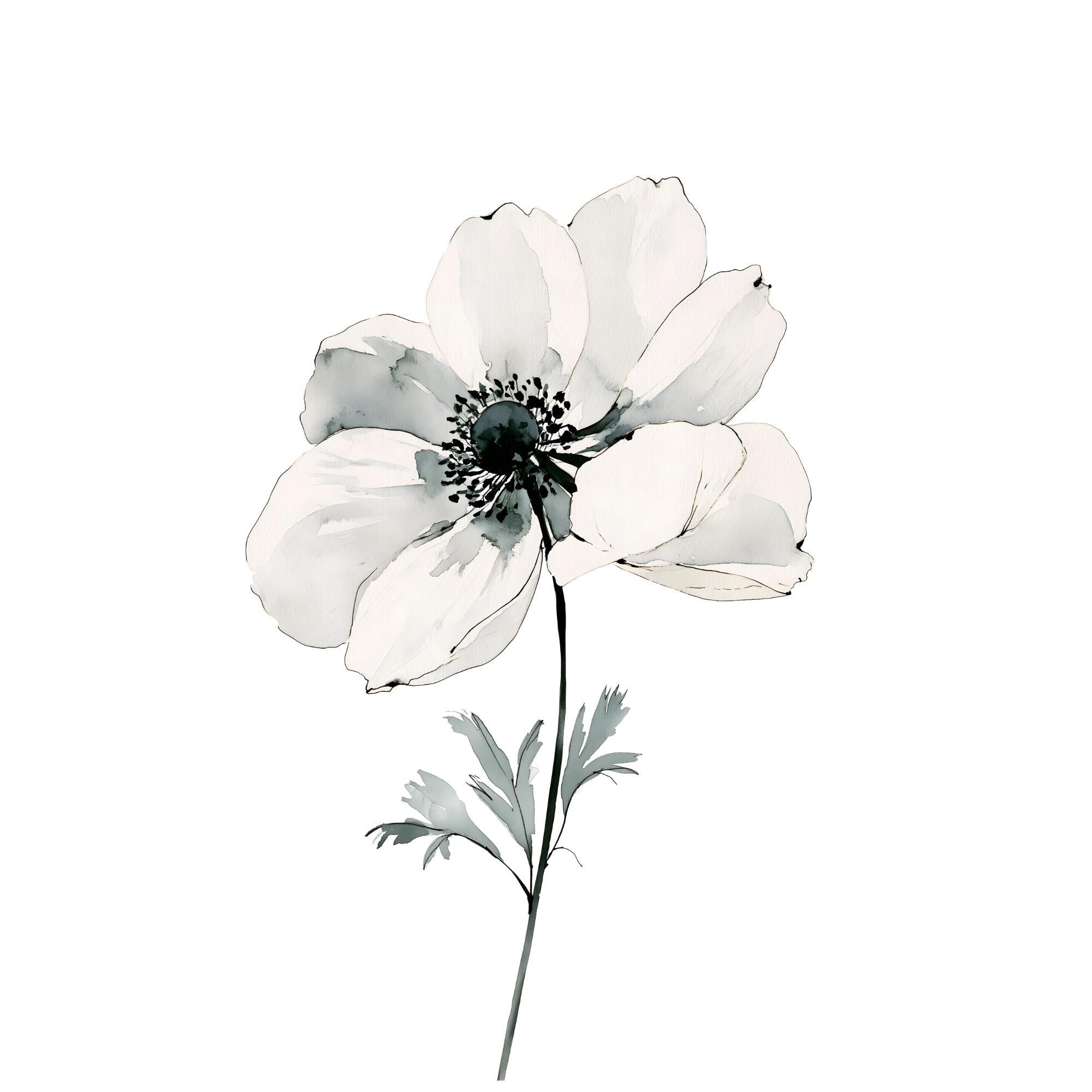 White Anemone Watercolor Print | Minimalist Botanical Wall Art (Digital Download)