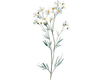 Wildflower Watercolor Print | Minimalist Botanical Wall Art | White Daisy Sprig Cottagecore Decor | Printable Download