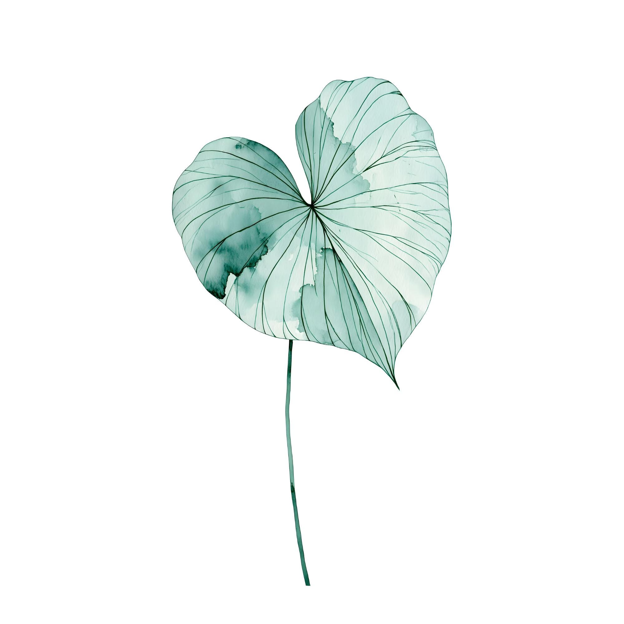 Philodendron Leaf Watercolor Print | Heart Shaped Botanical Wall Art | Boho Houseplant Decor Instant Download