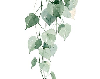Pothos Vine Watercolor Print | Trailing Plant Wall Art for Living Room Decor | Instant Download