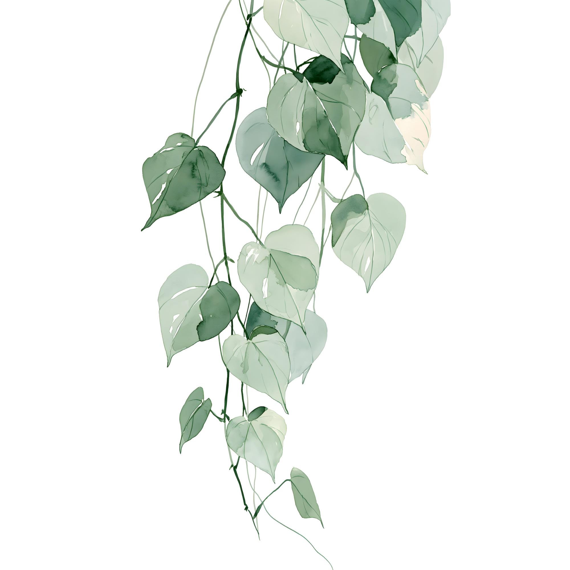 Pothos Vine Watercolor Print | Trailing Plant Wall Art for Living Room Decor | Instant Download