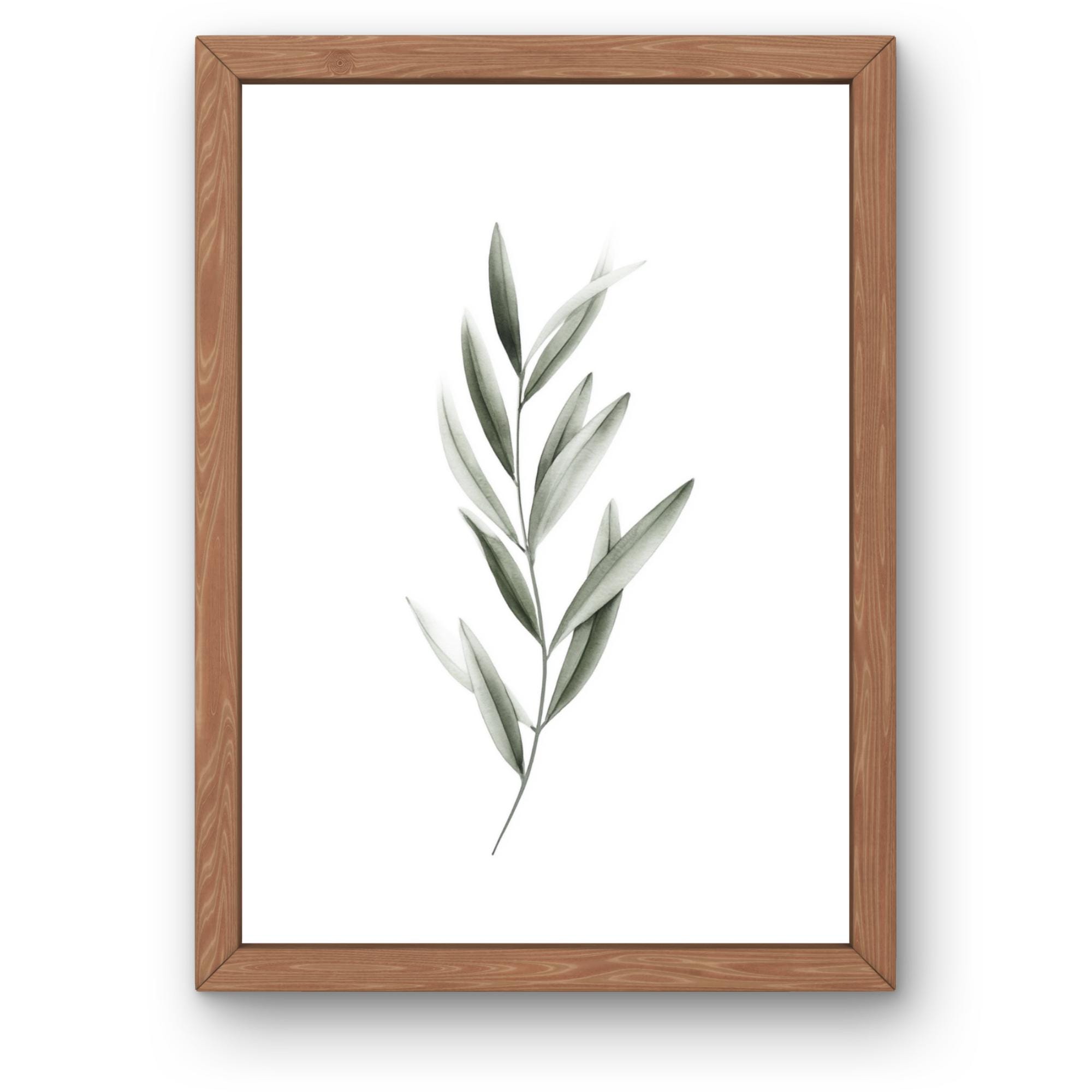 Olive Branch Watercolor Print | Minimalist Botanical Wall Art | Sage Green Printable Decor