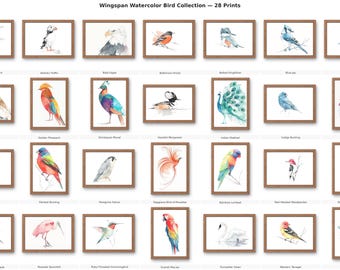 Wingspan Game Art Bundle | 28 Watercolor Bird Prints Collection | Game Gift (Digital Download)