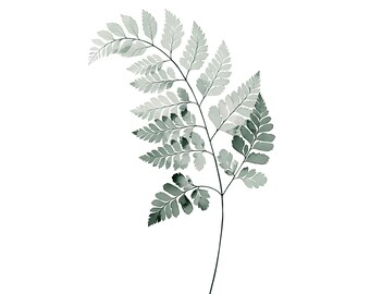 Fern Frond Watercolor Print | Botanical Wall Art | Sage Green Minimalist Home Decor | Instant Download
