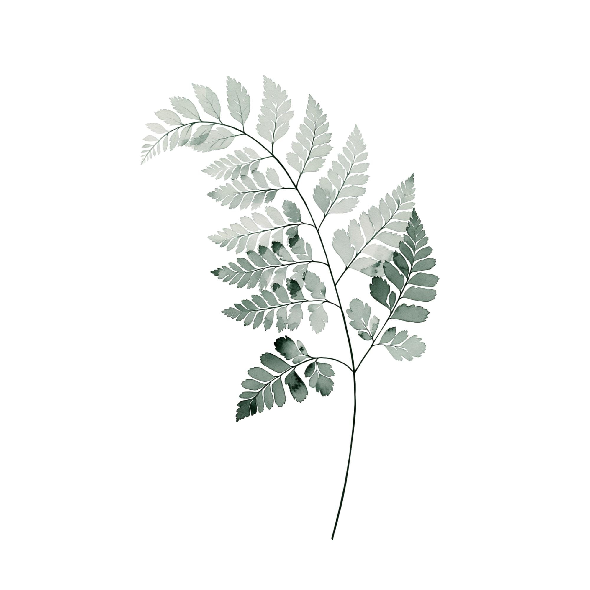 Fern Frond Watercolor Print | Botanical Wall Art | Sage Green Minimalist Home Decor | Instant Download