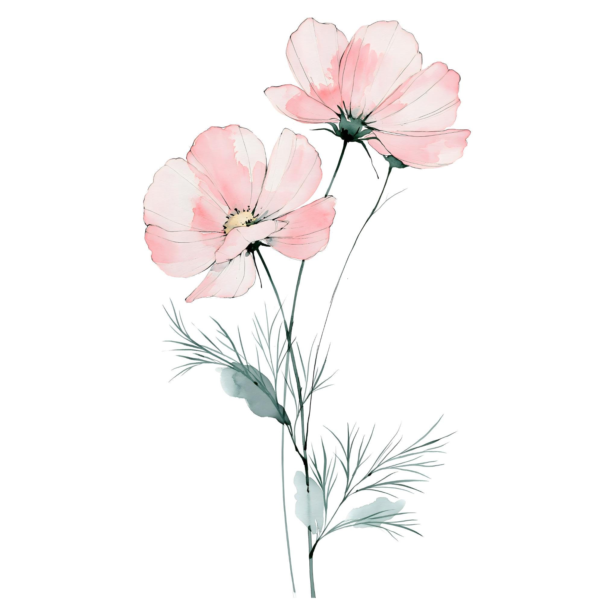 Cosmos Flower Watercolor Print | Pink Floral Botanical Art (Digital Download)