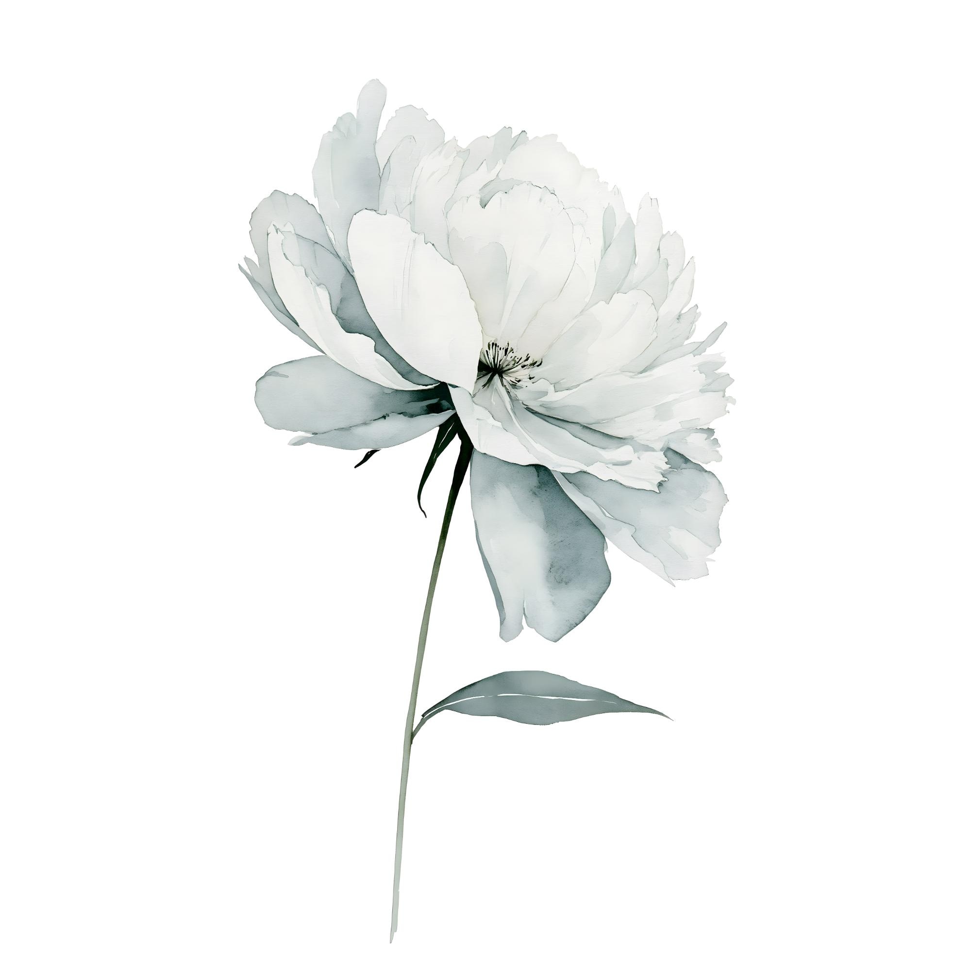White Peony Watercolor Print | Floral Wall Art for Bedroom Decor | Minimalist Instant Download