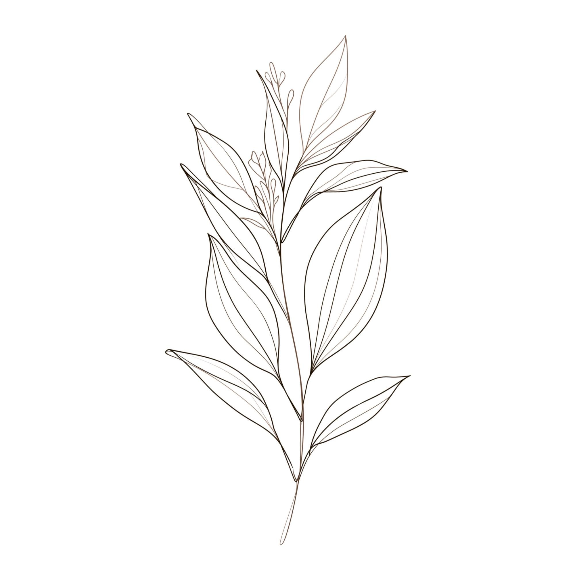 Minimalist Botanical Line Art Print | Japandi Taupe Leaf Drawing (Digital Download)