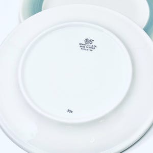 May include: White ceramic plates with a glossy finish. The underside of the plate features the text "MAYER CHINA BEAVER FALLS, PA HAND PAINTED PATENTED" and the number "355".