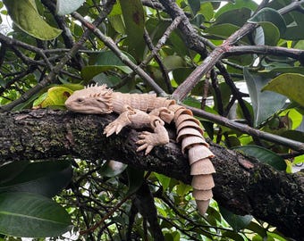 3D gedruckter australischer Drache Spielzeug - Gelenkeidechse Figur - Flexibles Fidget Spielzeug - Bartagame Modell - Schreibtisch Dekor Geschenk.