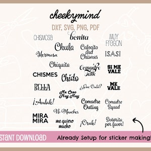 Spanish Sarcastic Stickers | Instant Download | Spanish Planner Stickers | Mexican Sayings | Latina Stickers | Latina Quotes